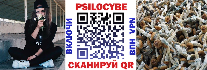 Псилоцибиновые грибы прущие грибы  купить  сайты  MEGA сайт  Осинники 